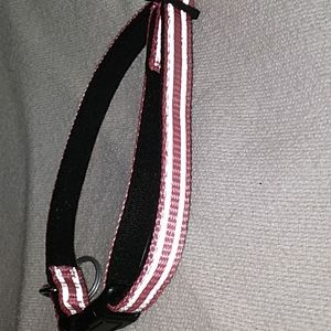 Puppy or small dog collar